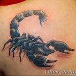 Фото рисунка скорпион 24.11.2018 №194 - photo tattoo scorpion - tattoo-photo.ru