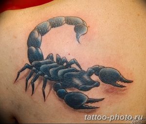 Фото рисунка скорпион 24.11.2018 №194 - photo tattoo scorpion - tattoo-photo.ru