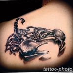 Фото рисунка скорпион 24.11.2018 №195 - photo tattoo scorpion - tattoo-photo.ru