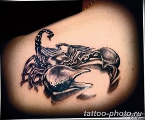 Фото рисунка скорпион 24.11.2018 №195 - photo tattoo scorpion - tattoo-photo.ru