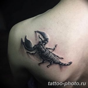 Фото рисунка скорпион 24.11.2018 №197 - photo tattoo scorpion - tattoo-photo.ru