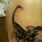 Фото рисунка скорпион 24.11.2018 №198 - photo tattoo scorpion - tattoo-photo.ru