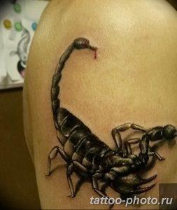 Фото рисунка скорпион 24.11.2018 №198 - photo tattoo scorpion - tattoo-photo.ru
