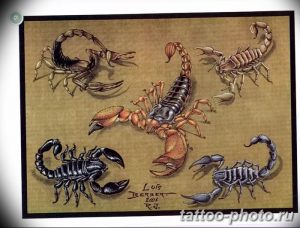 Фото рисунка скорпион 24.11.2018 №199 - photo tattoo scorpion - tattoo-photo.ru