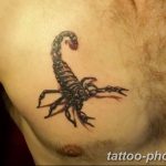 Фото рисунка скорпион 24.11.2018 №200 - photo tattoo scorpion - tattoo-photo.ru