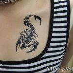 Фото рисунка скорпион 24.11.2018 №201 - photo tattoo scorpion - tattoo-photo.ru