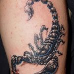 Фото рисунка скорпион 24.11.2018 №203 - photo tattoo scorpion - tattoo-photo.ru