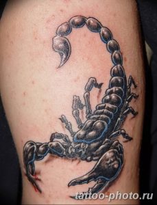 Фото рисунка скорпион 24.11.2018 №203 - photo tattoo scorpion - tattoo-photo.ru
