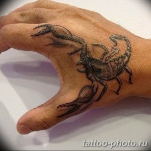 Фото рисунка скорпион 24.11.2018 №204 - photo tattoo scorpion - tattoo-photo.ru