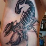 Фото рисунка скорпион 24.11.2018 №206 - photo tattoo scorpion - tattoo-photo.ru