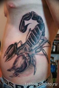 Фото рисунка скорпион 24.11.2018 №206 - photo tattoo scorpion - tattoo-photo.ru