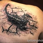 Фото рисунка скорпион 24.11.2018 №207 - photo tattoo scorpion - tattoo-photo.ru
