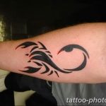 Фото рисунка скорпион 24.11.2018 №215 - photo tattoo scorpion - tattoo-photo.ru