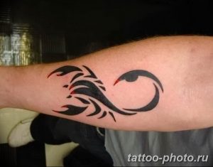 Фото рисунка скорпион 24.11.2018 №215 - photo tattoo scorpion - tattoo-photo.ru