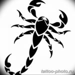 Фото рисунка скорпион 24.11.2018 №216 - photo tattoo scorpion - tattoo-photo.ru