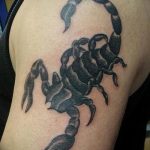 Фото рисунка скорпион 24.11.2018 №217 - photo tattoo scorpion - tattoo-photo.ru