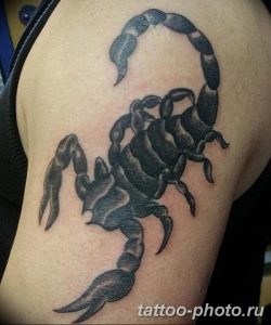 Фото рисунка скорпион 24.11.2018 №217 - photo tattoo scorpion - tattoo-photo.ru