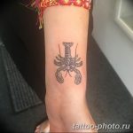 Фото рисунка скорпион 24.11.2018 №218 - photo tattoo scorpion - tattoo-photo.ru