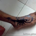 Фото рисунка скорпион 24.11.2018 №219 - photo tattoo scorpion - tattoo-photo.ru