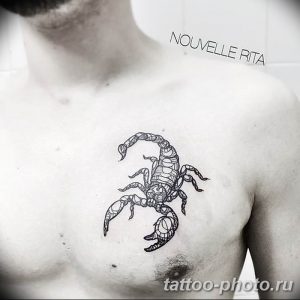 Фото рисунка скорпион 24.11.2018 №221 - photo tattoo scorpion - tattoo-photo.ru