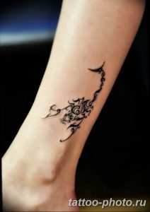 Фото рисунка скорпион 24.11.2018 №222 - photo tattoo scorpion - tattoo-photo.ru