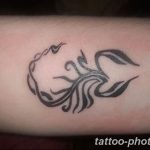 Фото рисунка скорпион 24.11.2018 №223 - photo tattoo scorpion - tattoo-photo.ru