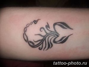 Фото рисунка скорпион 24.11.2018 №223 - photo tattoo scorpion - tattoo-photo.ru