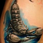 Фото рисунка скорпион 24.11.2018 №224 - photo tattoo scorpion - tattoo-photo.ru