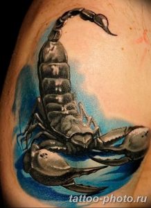 Фото рисунка скорпион 24.11.2018 №224 - photo tattoo scorpion - tattoo-photo.ru