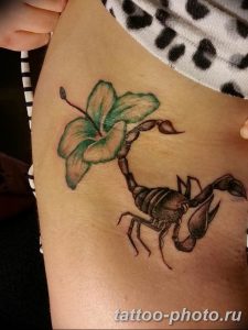 Фото рисунка скорпион 24.11.2018 №226 - photo tattoo scorpion - tattoo-photo.ru