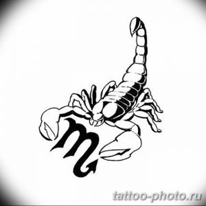 Фото рисунка скорпион 24.11.2018 №227 - photo tattoo scorpion - tattoo-photo.ru
