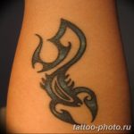 Фото рисунка скорпион 24.11.2018 №229 - photo tattoo scorpion - tattoo-photo.ru