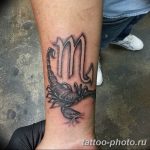 Фото рисунка скорпион 24.11.2018 №234 - photo tattoo scorpion - tattoo-photo.ru