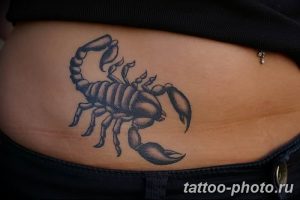 Фото рисунка скорпион 24.11.2018 №237 - photo tattoo scorpion - tattoo-photo.ru