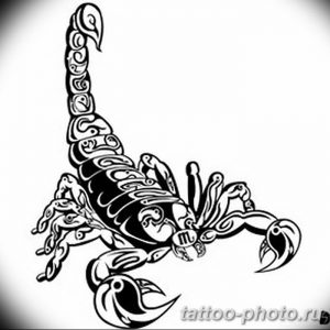 Фото рисунка скорпион 24.11.2018 №238 - photo tattoo scorpion - tattoo-photo.ru