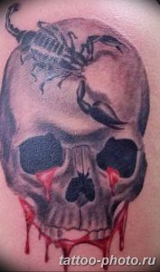 Фото рисунка скорпион 24.11.2018 №244 - photo tattoo scorpion - tattoo-photo.ru