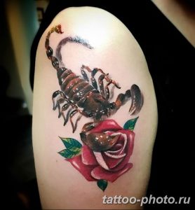 Фото рисунка скорпион 24.11.2018 №245 - photo tattoo scorpion - tattoo-photo.ru