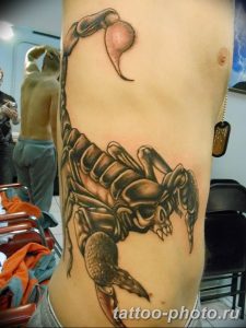 Фото рисунка скорпион 24.11.2018 №247 - photo tattoo scorpion - tattoo-photo.ru