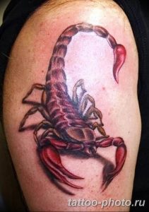 Фото рисунка скорпион 24.11.2018 №251 - photo tattoo scorpion - tattoo-photo.ru