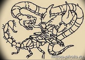 Фото рисунка скорпион 24.11.2018 №253 - photo tattoo scorpion - tattoo-photo.ru