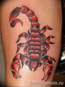 Фото рисунка скорпион 24.11.2018 №254 - photo tattoo scorpion - tattoo-photo.ru