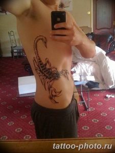 Фото рисунка скорпион 24.11.2018 №256 - photo tattoo scorpion - tattoo-photo.ru