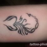 Фото рисунка скорпион 24.11.2018 №257 - photo tattoo scorpion - tattoo-photo.ru