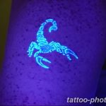 Фото рисунка скорпион 24.11.2018 №264 - photo tattoo scorpion - tattoo-photo.ru