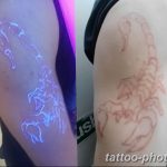 Фото рисунка скорпион 24.11.2018 №266 - photo tattoo scorpion - tattoo-photo.ru