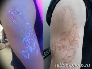 Фото рисунка скорпион 24.11.2018 №266 - photo tattoo scorpion - tattoo-photo.ru