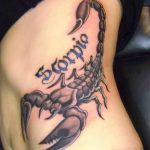 Фото рисунка скорпион 24.11.2018 №268 - photo tattoo scorpion - tattoo-photo.ru