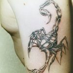 Фото рисунка скорпион 24.11.2018 №274 - photo tattoo scorpion - tattoo-photo.ru