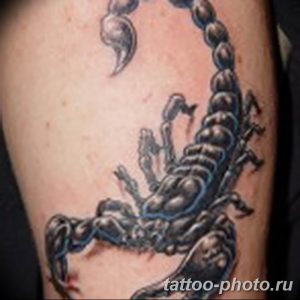 Фото рисунка скорпион 24.11.2018 №275 - photo tattoo scorpion - tattoo-photo.ru