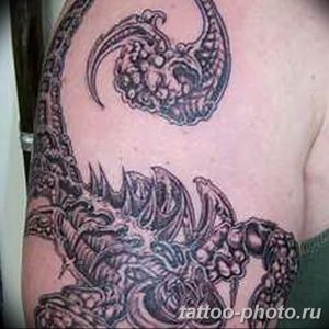 Фото рисунка скорпион 24.11.2018 №277 - photo tattoo scorpion - tattoo-photo.ru